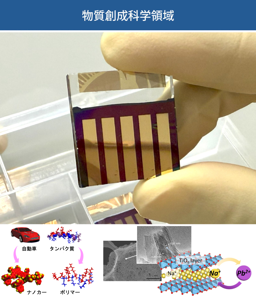 物質創成科学領域