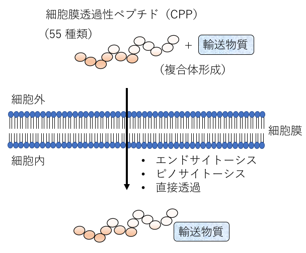 図2