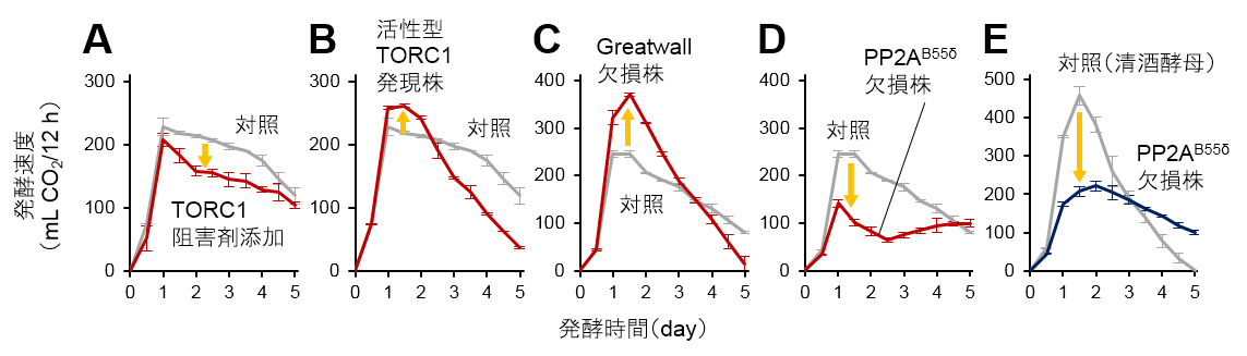 図1