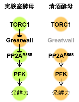図4