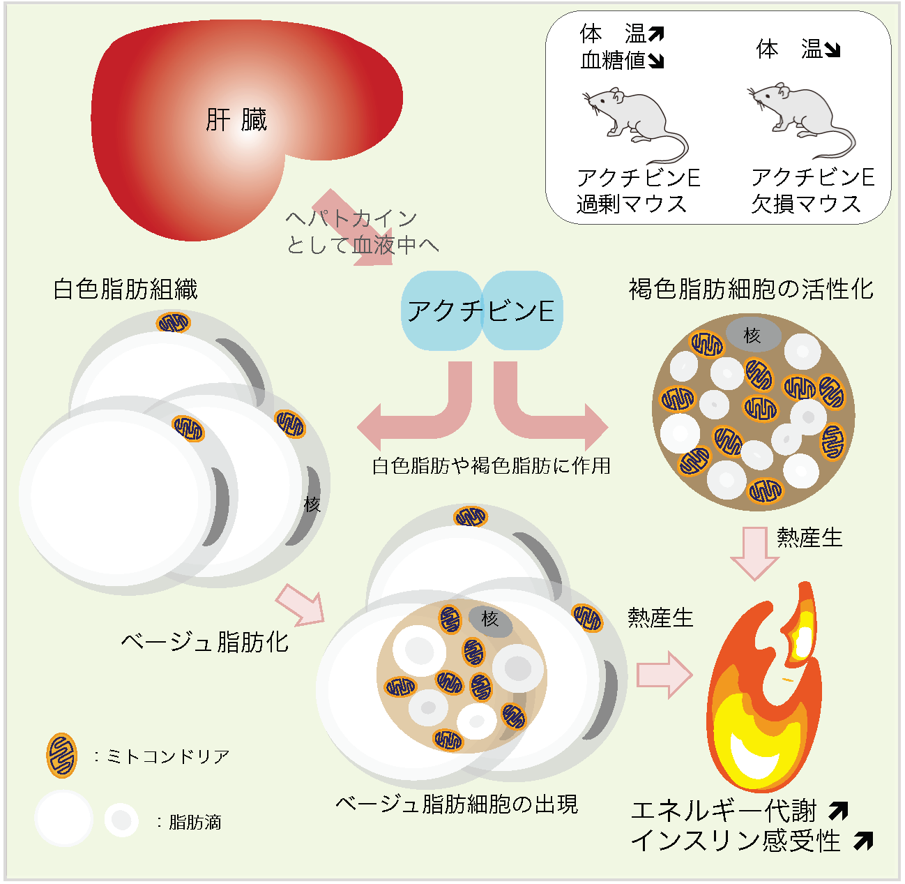 図1