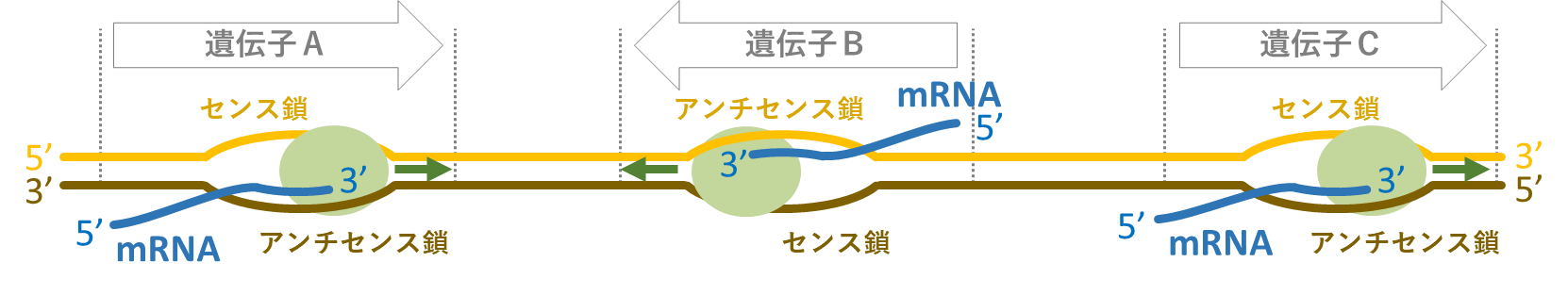 図12