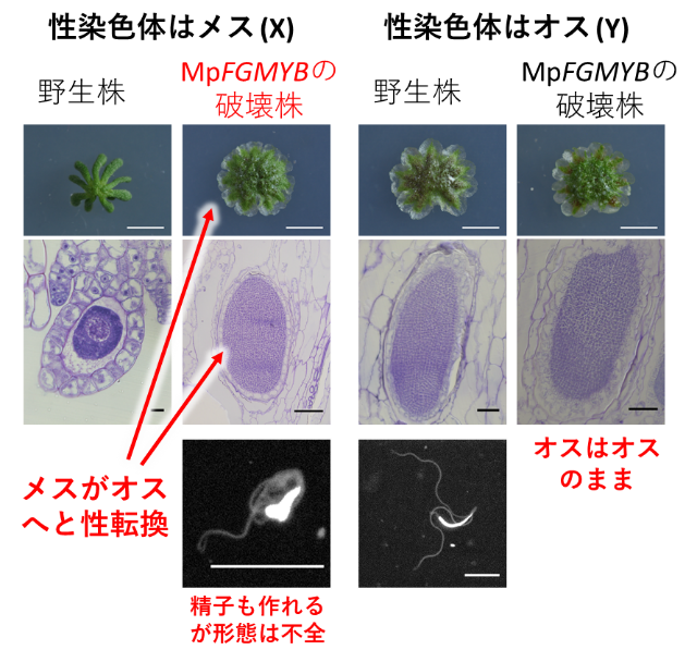 図3