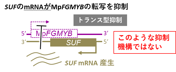 図7