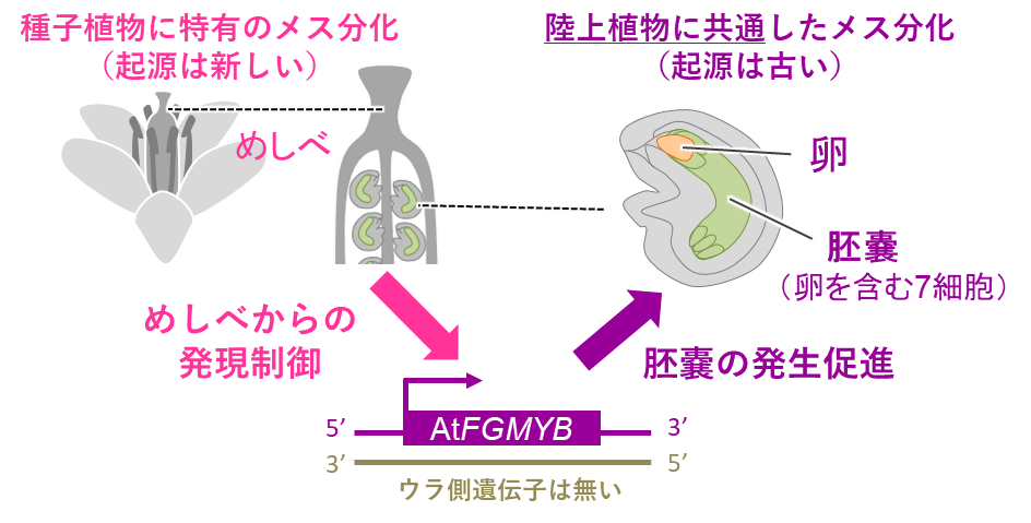 図8