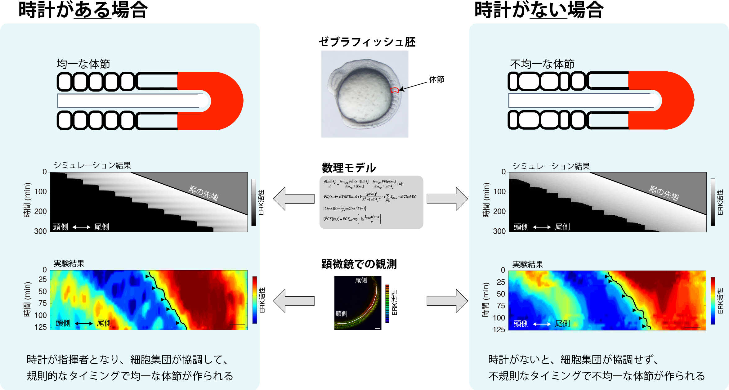 図1