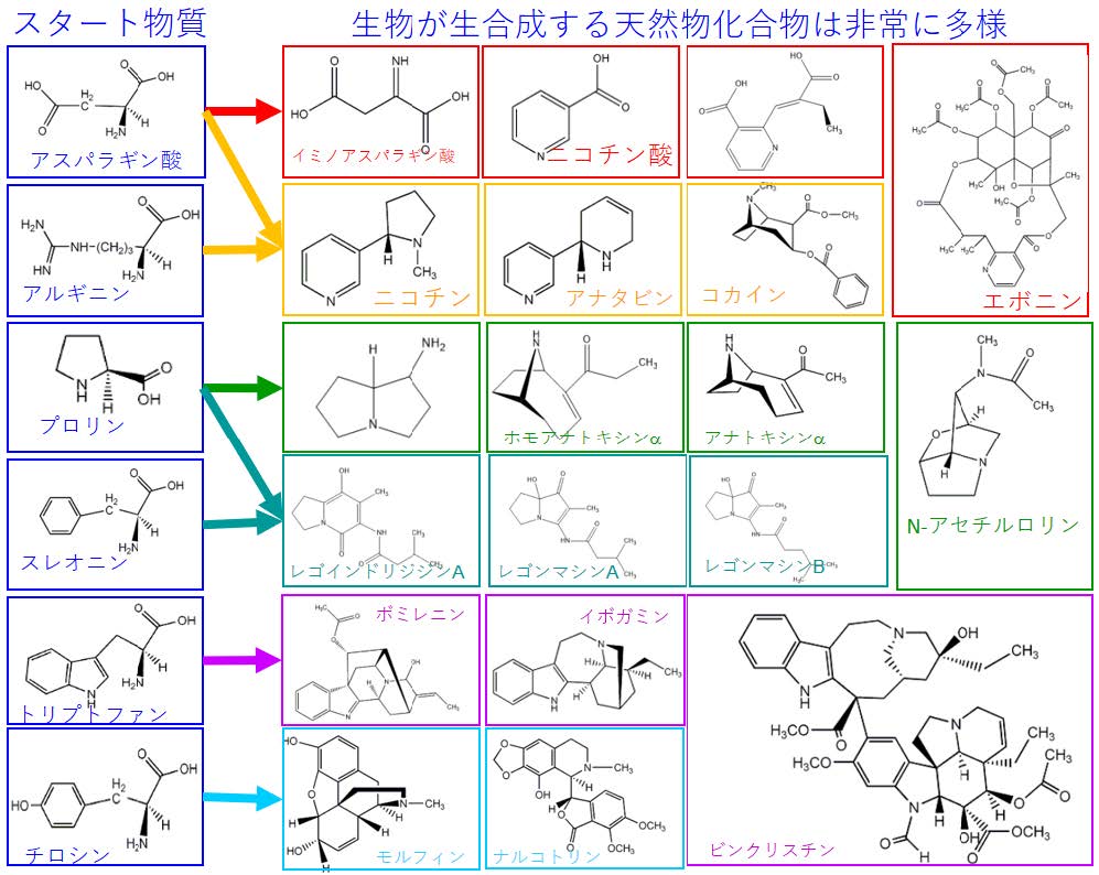 図1