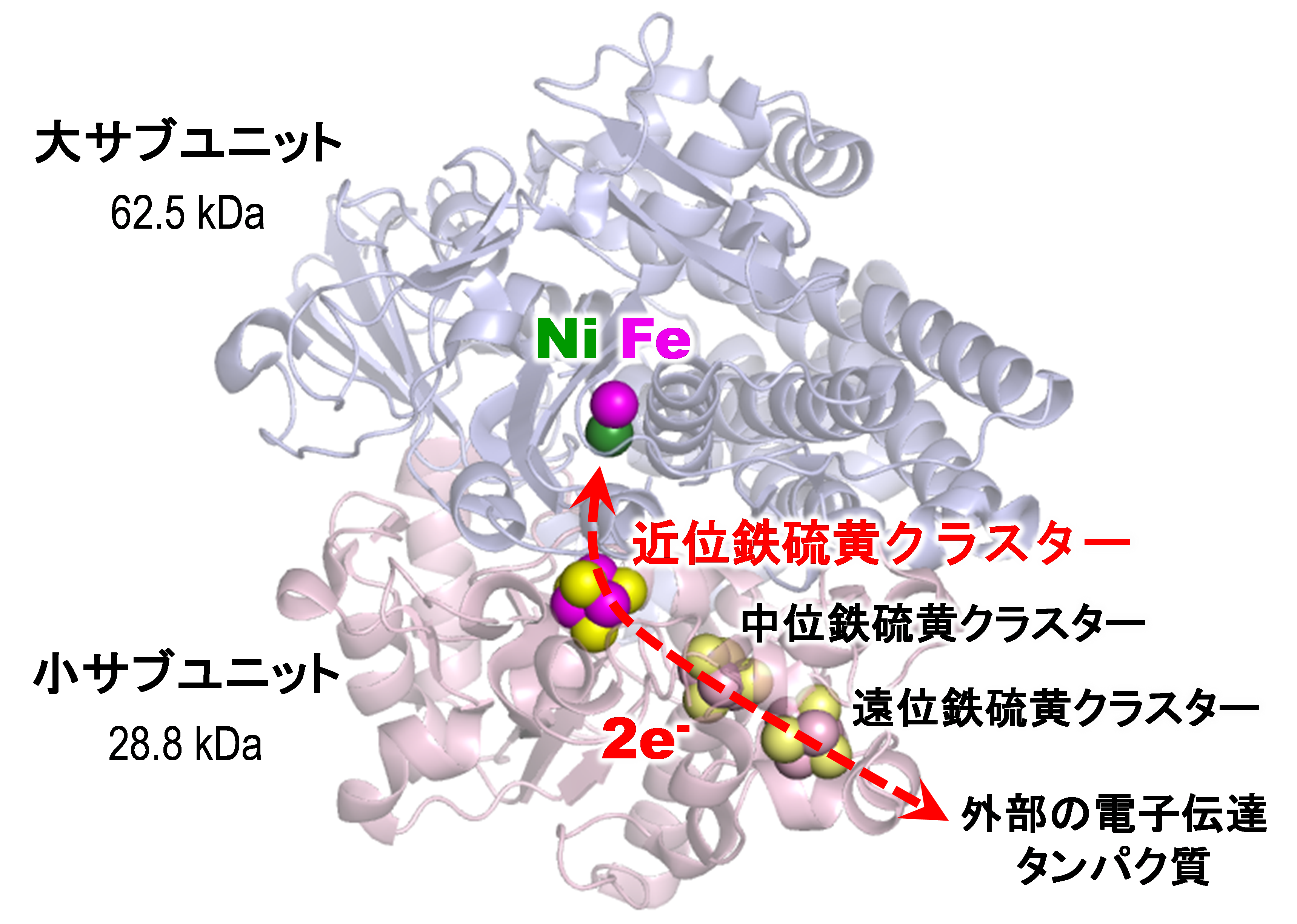 図2