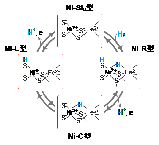 図4