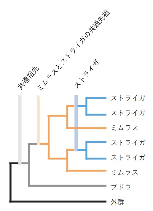 図1