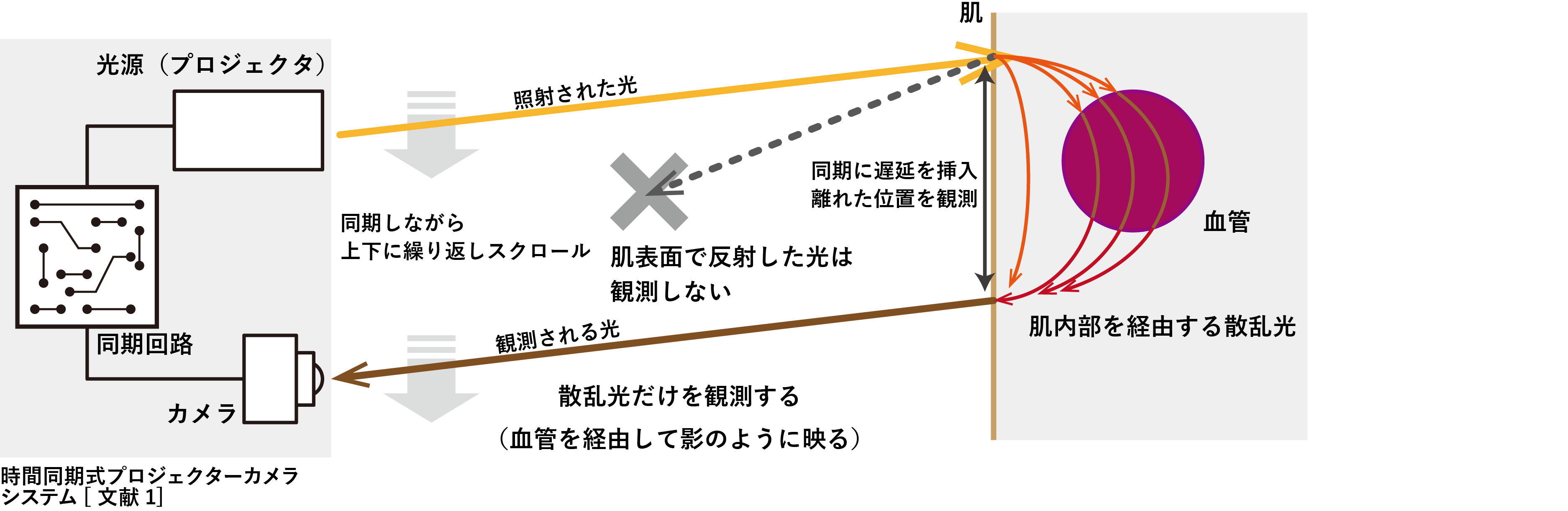 図1