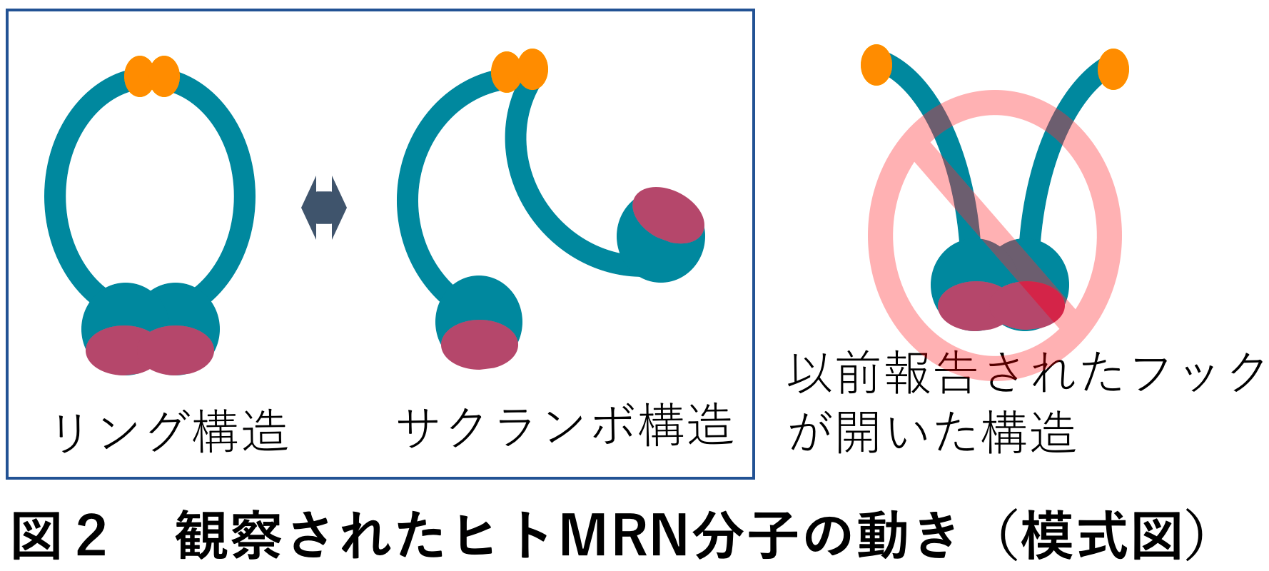 図2