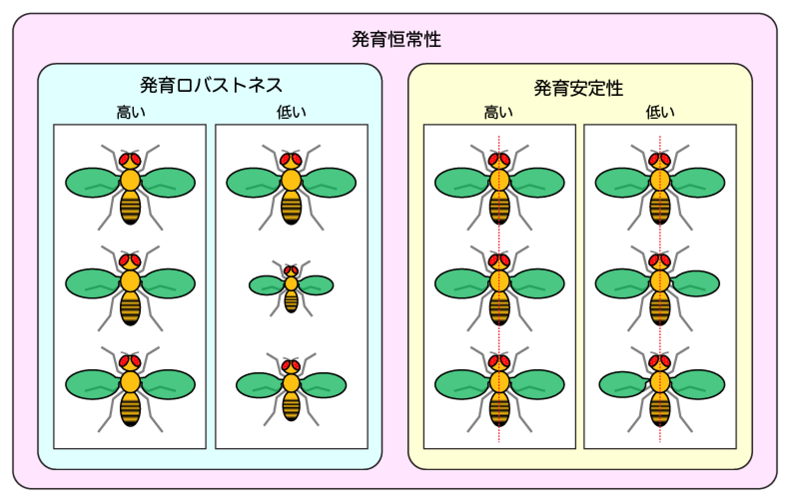 図