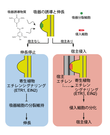 図2