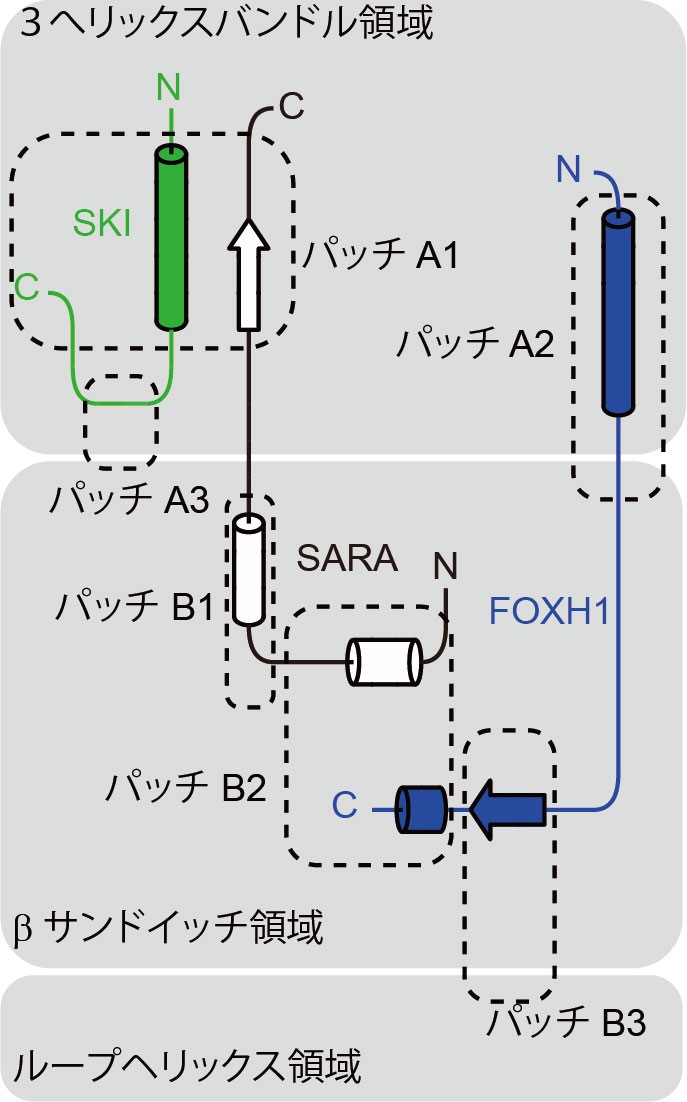 図2