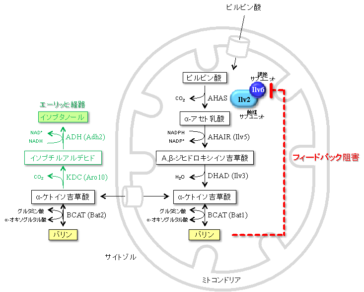 図1