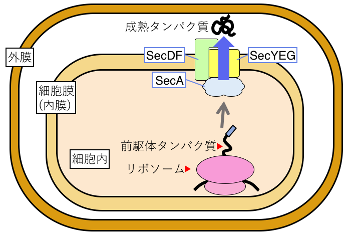 図1