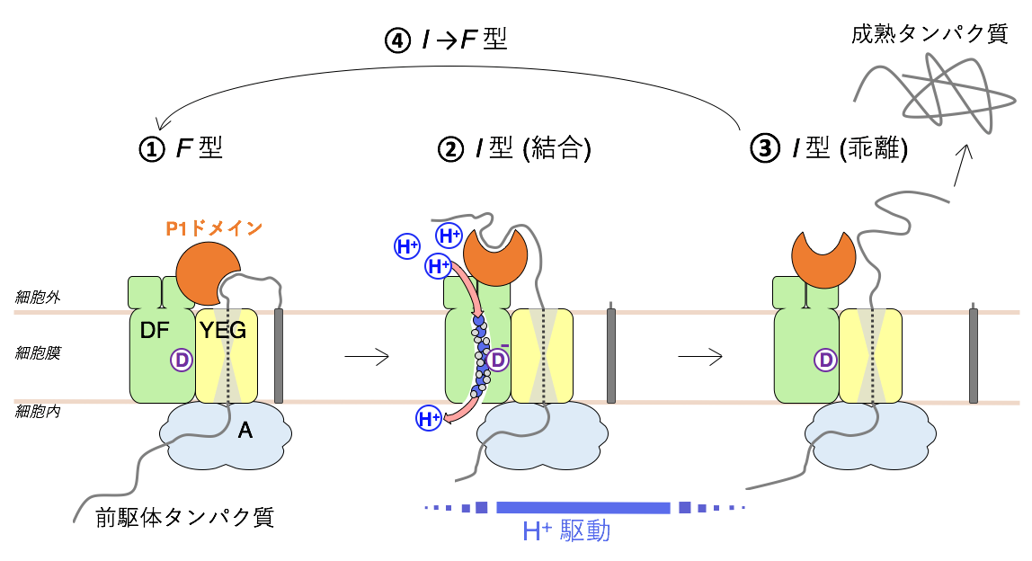 図1
