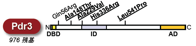 図2