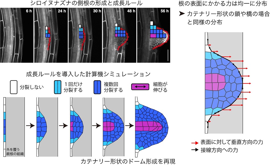 図1