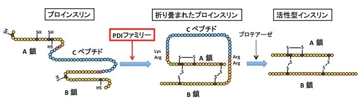 図1