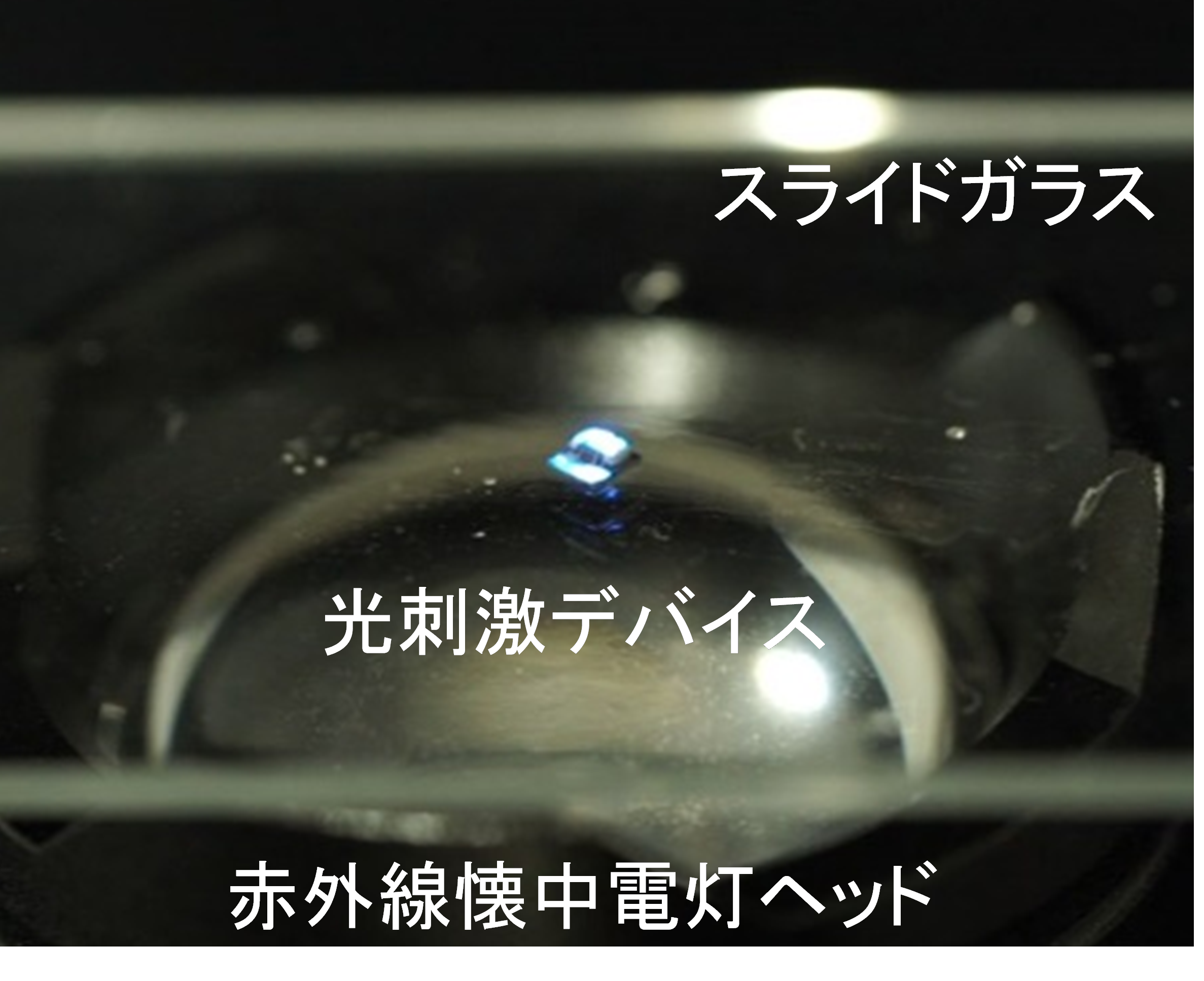 図4.png