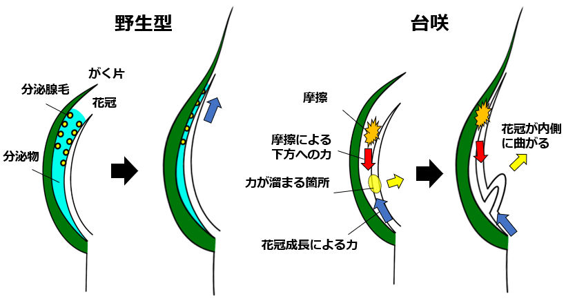 図1