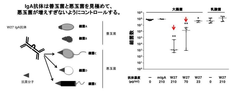 図1